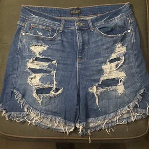 Judy Blue Tulip 2xl shorts